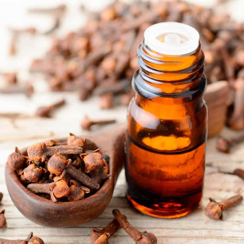 Cloves for Radiant Curls and Hair Growth
